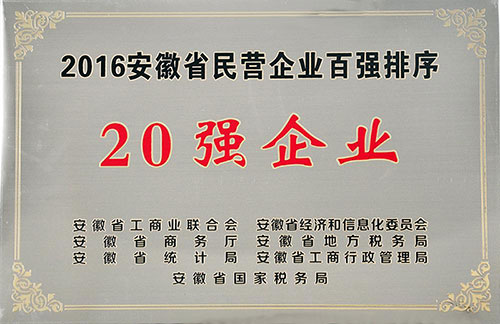 2016年度安徽省民營企業百強
